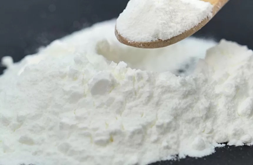 ¿Cuáles son los beneficios de los probióticos? ¿Cuándo es el mejor momento para tomar probióticos?