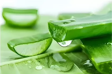 La Introducción de Aloin