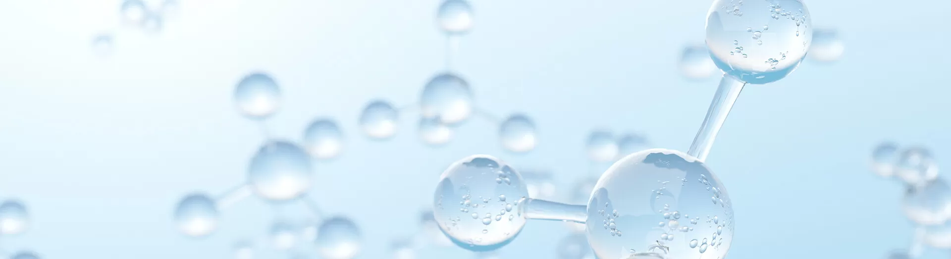 Beneficios funcionales y aplicaciones de nuestros ingredientes