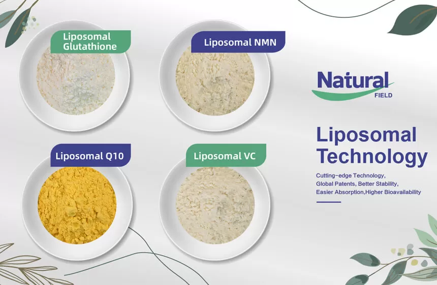 ¿Por qué elegir el campo natural como su fabricante de polvo NMN liposomal?