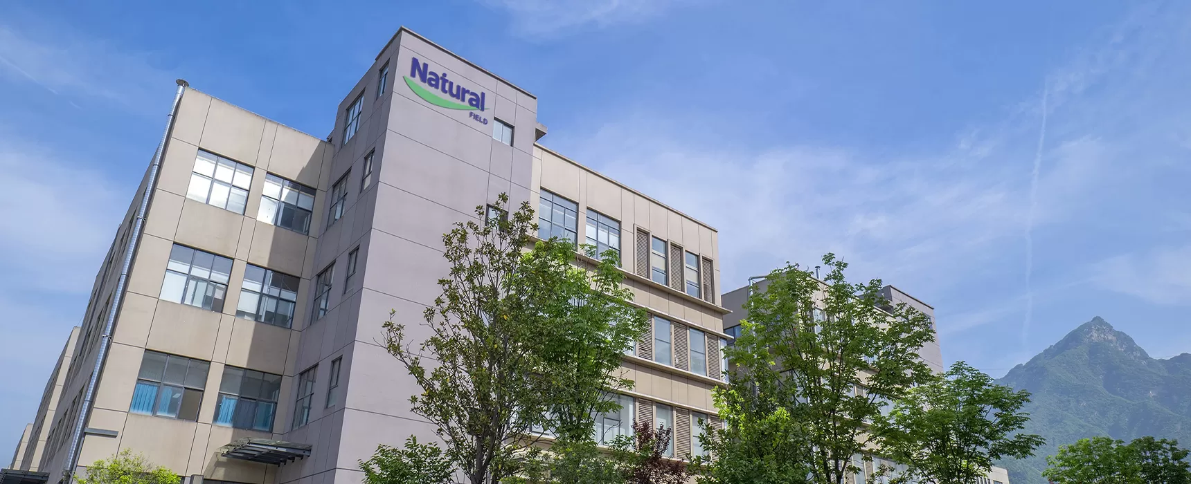 Perfil de la empresa