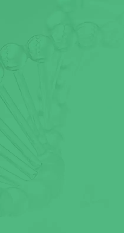 Cultura de la empresa