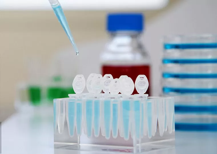 Pantalla de materia prima