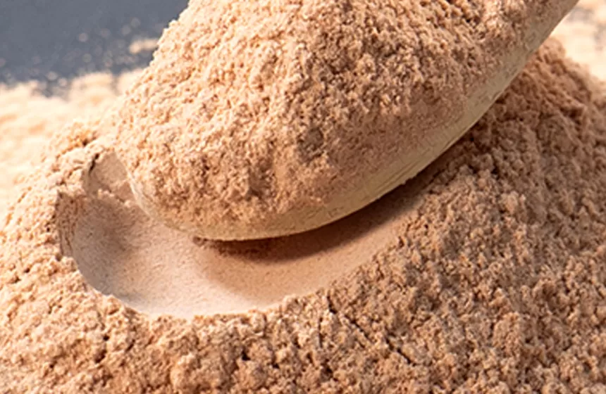 Características de extracto de té verde