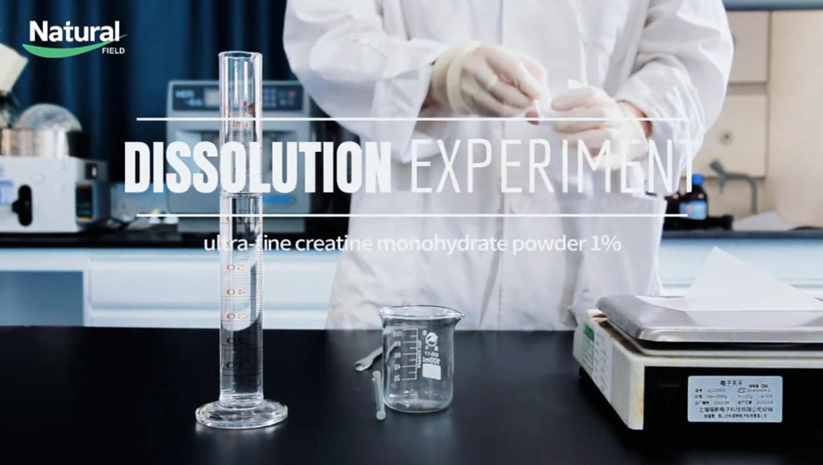 Fabricante de monohidrato de creatina micronizada a granel | Tamaño de partícula fino y rendimiento de dispersión mejorado