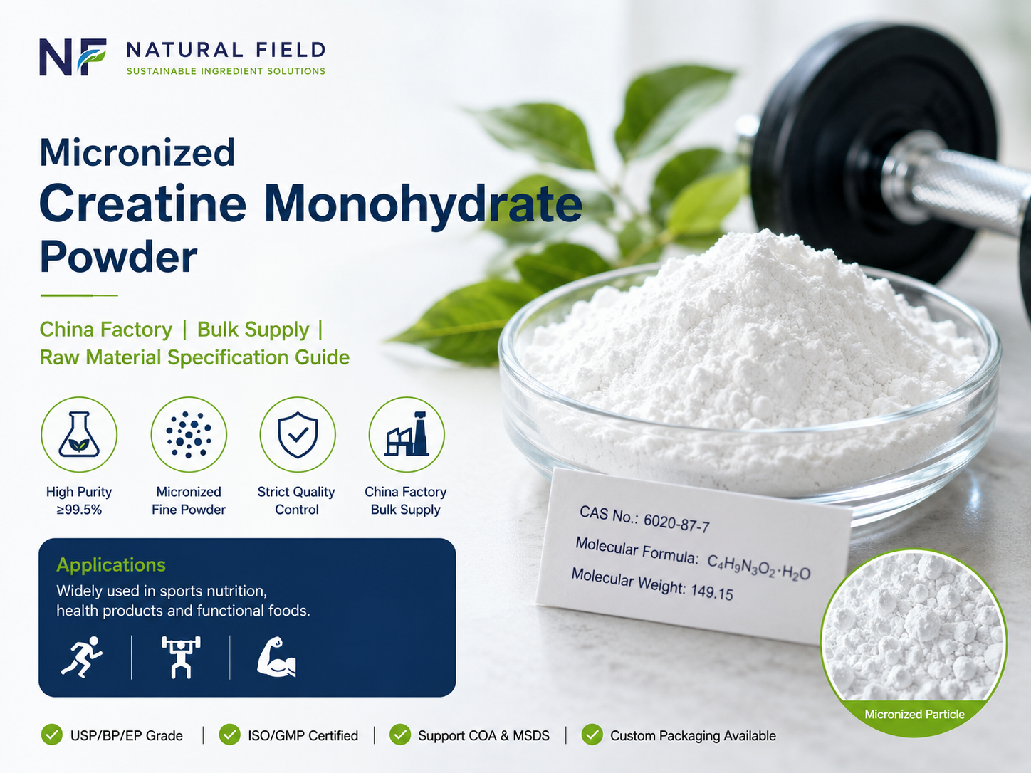 Monohidrato de creatina micronizada en polvo: Guía de suministro a granel y especificaciones de materia prima de fábrica china
