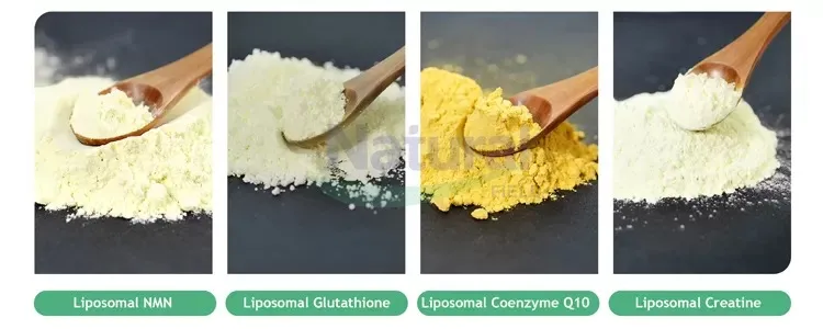 ¿Qué es la creatina liposomal en polvo?