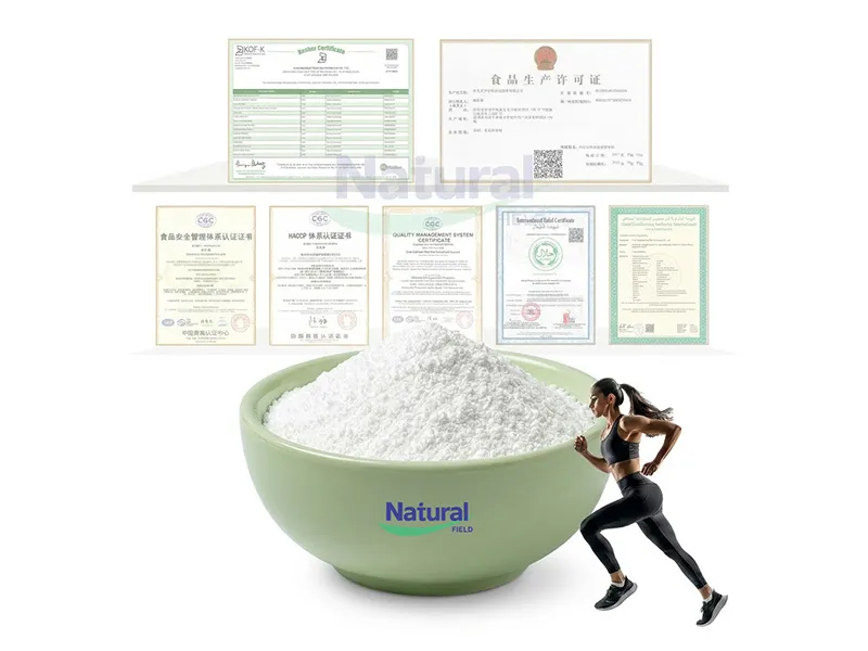 Explicación de los BCAA: ¿Qué son los aminoácidos de cadena ramificada y cómo contribuyen a la salud muscular?