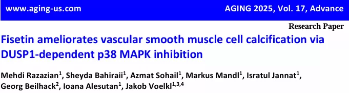 Fisetin: Beyond Anti-Aging, Discover Its Surprising Benefits!