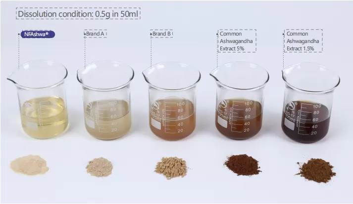 Respondiendo a la llamada nacional: ¡Centrándose en la salud humana!