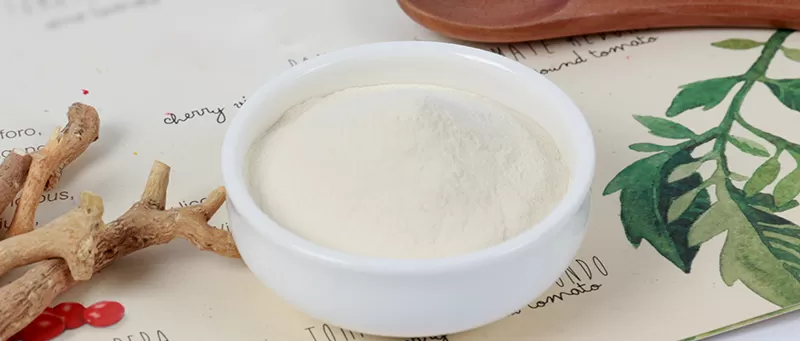 Anuncio 2025 del Foro de Innovación de Ingredientes Naturales y Productos de Salud 2025 Anuncio del Foro de Innovación de Ingredientes Naturales y Productos de Salud