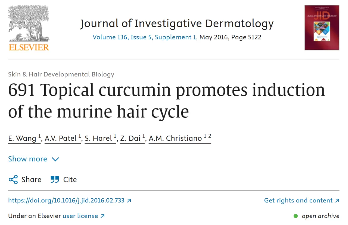 Curcumin Enters the Hair Loss Prevention Market
