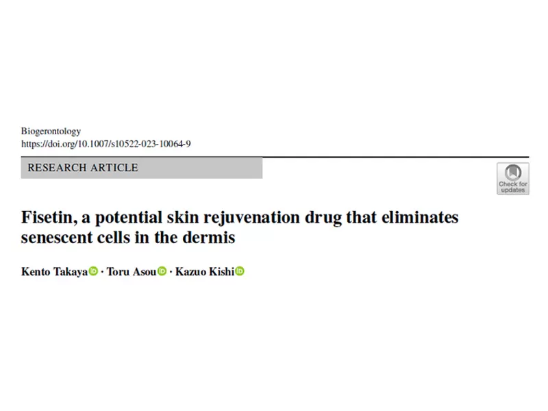 Fisetin: eliminación dirigida de células senescentes en la capa dérmica, desbloqueando nuevas posibilidades para el antienvejecimiento de la piel
