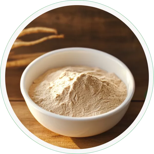 Funciones de NF Ashwa (polvo de extracto de Ashwagandha)