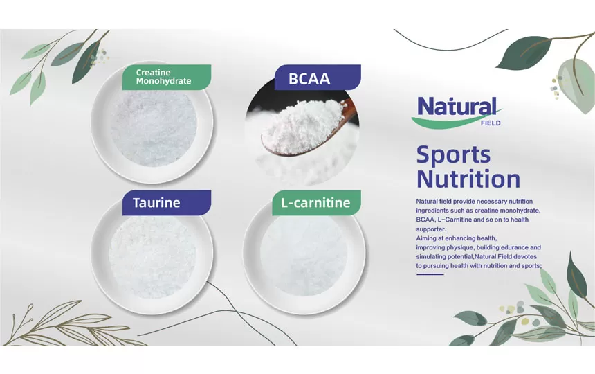 Campo natural, un fabricante superior de China de ingredientes de suplementos de nutrición deportiva materia prima