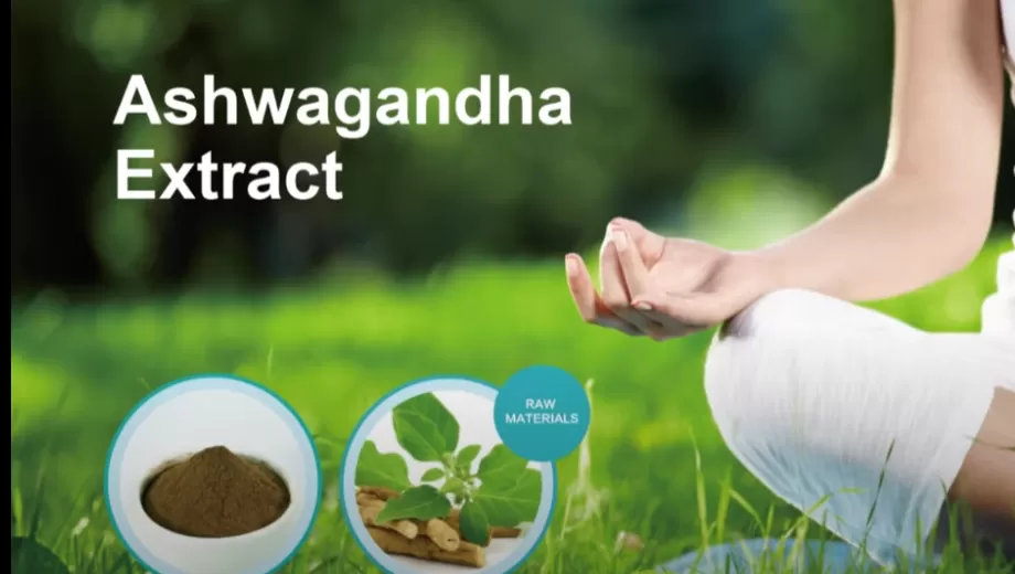 Extracto de Ashwagandha