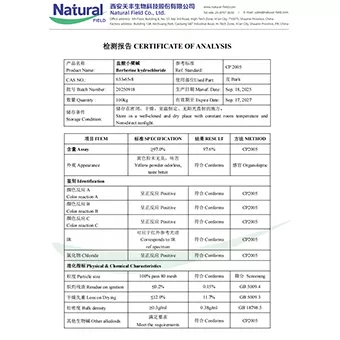 NF-COA clorhidrato de berberina