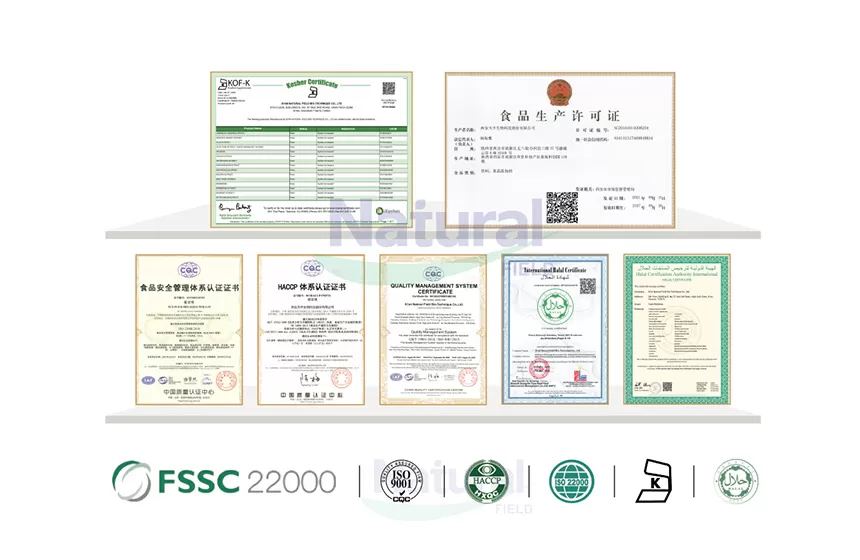 Beneficios del ácido alfa lipoico (ALA)