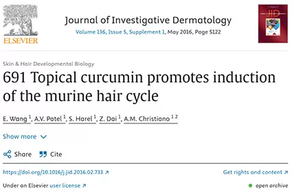 Curcumina: una potencia natural para la prevención de la pérdida de cabello y la salud holística