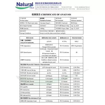 Extracto de cúrcuma 95%