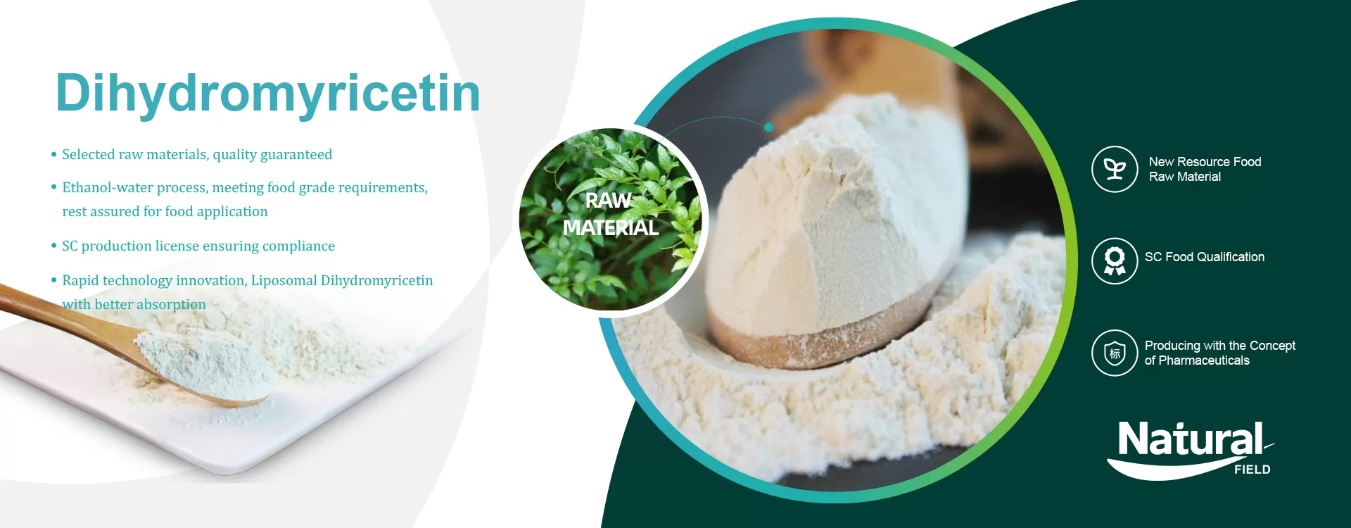 ¿Por qué elegir el campo natural como su extracto de té de vid de China/Fabricante de polvo de dihidromiricetina?