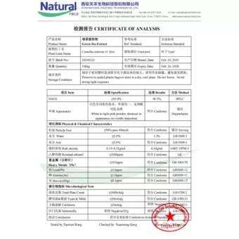 NF-COA Extracto de Té Verde (EGCG)