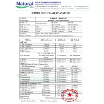 NF-COA Extracto de té verde Polifenoles