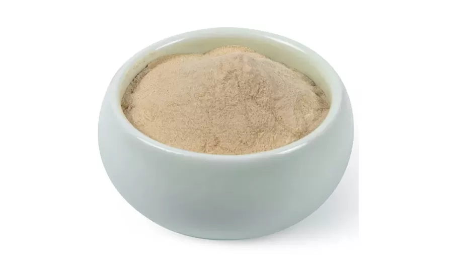 La evolución de la tecnología de extracción de Ashwagandha: de la maceración tradicional al avance de la Ashwagandha desamargada instantánea de NF Ashwa