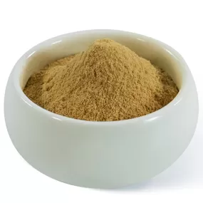 Polvo de Melena de León