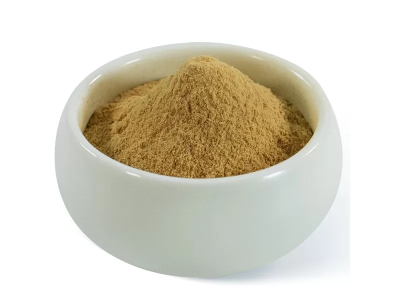 extracto de Hericium erinaceus