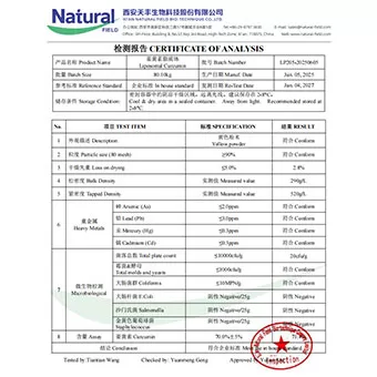 70% de curcumina liposomal