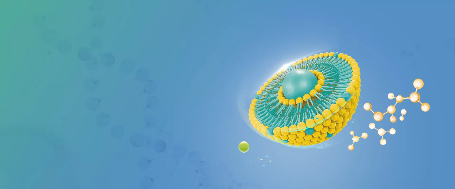 Ingredientes liposomales