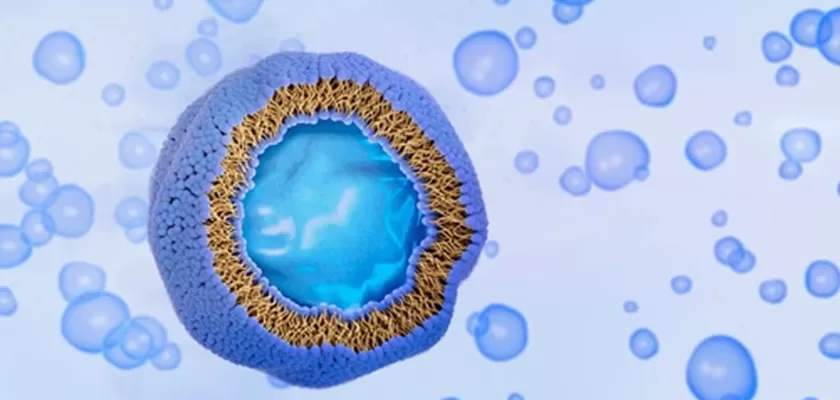 ¿Es realmente mejor la vitamina C liposomal que el ácido ascórbico tradicional? ¿Es realmente mejor la vitamina C liposomal que el ácido ascórbico tradicional?