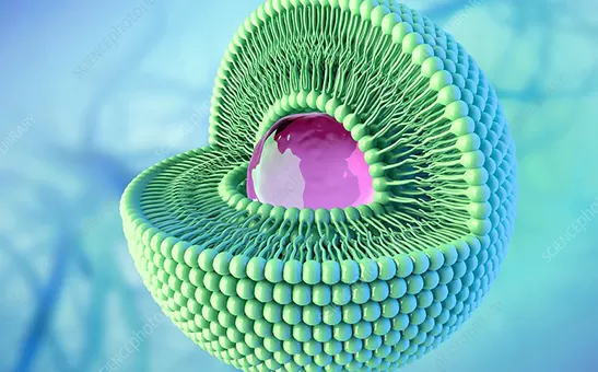 Tecnología Liposomal Explicada: Desde los Desafíos de Biodisponibilidad hasta la Fabricación de Polvo Liposomal a Escala Industrial