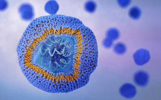 Los 10 mejores fabricantes de liposomales EN EL Reino Unido