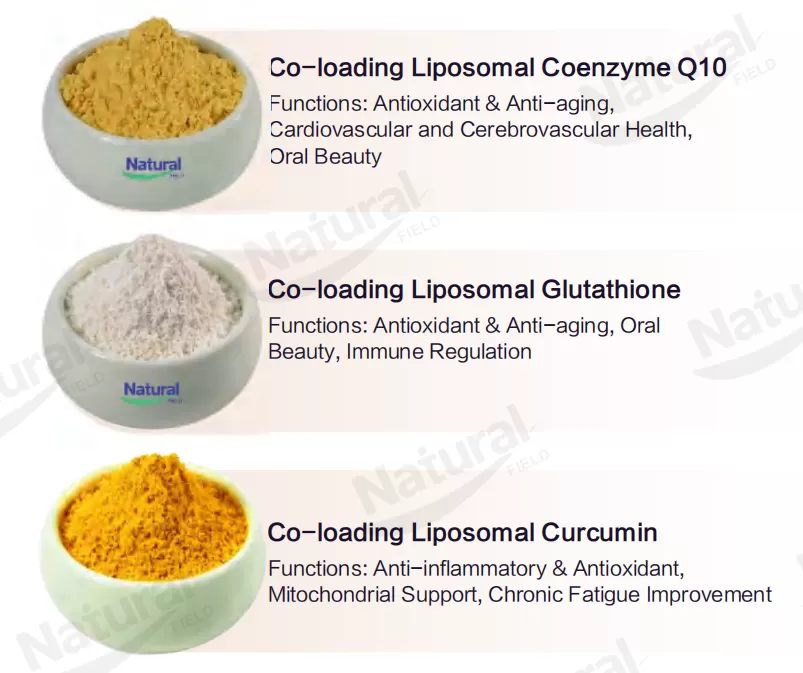 Polvo liposomal