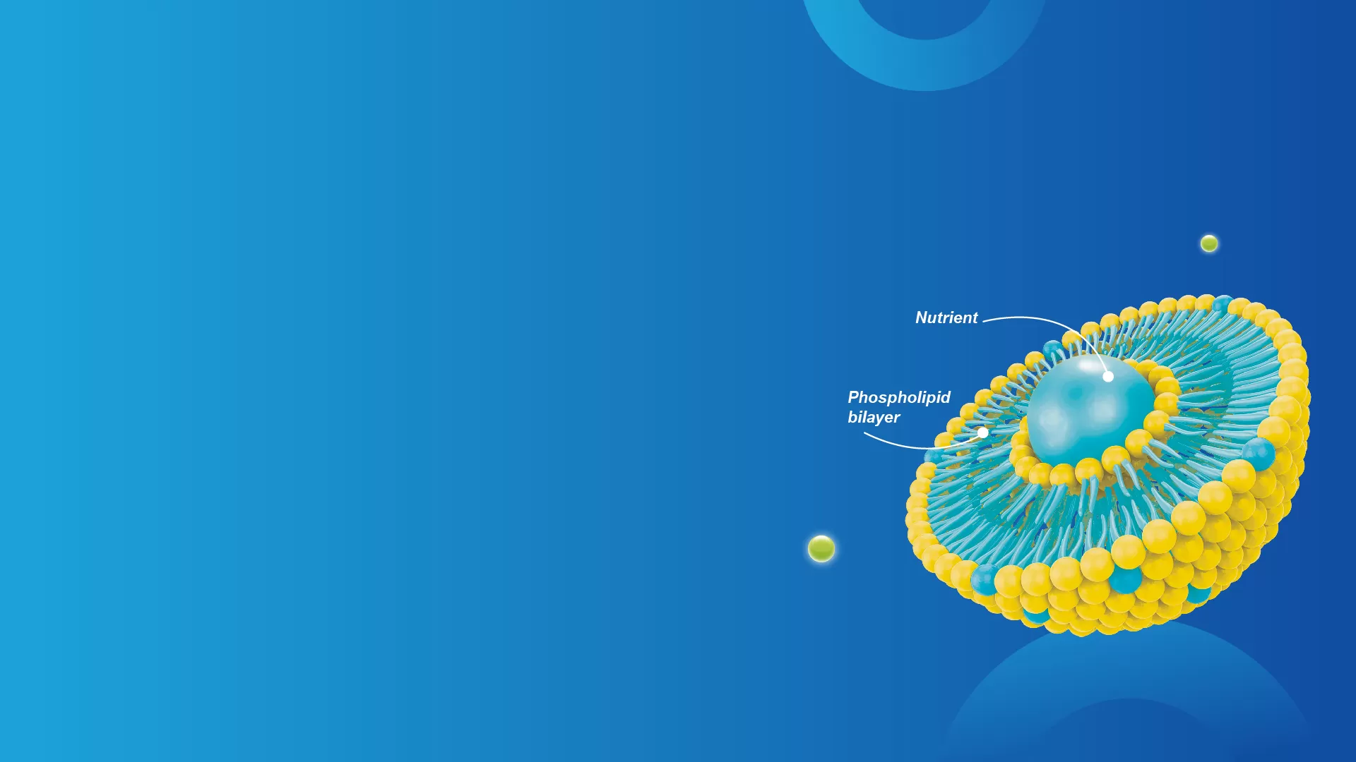 Tecnología de liposomas