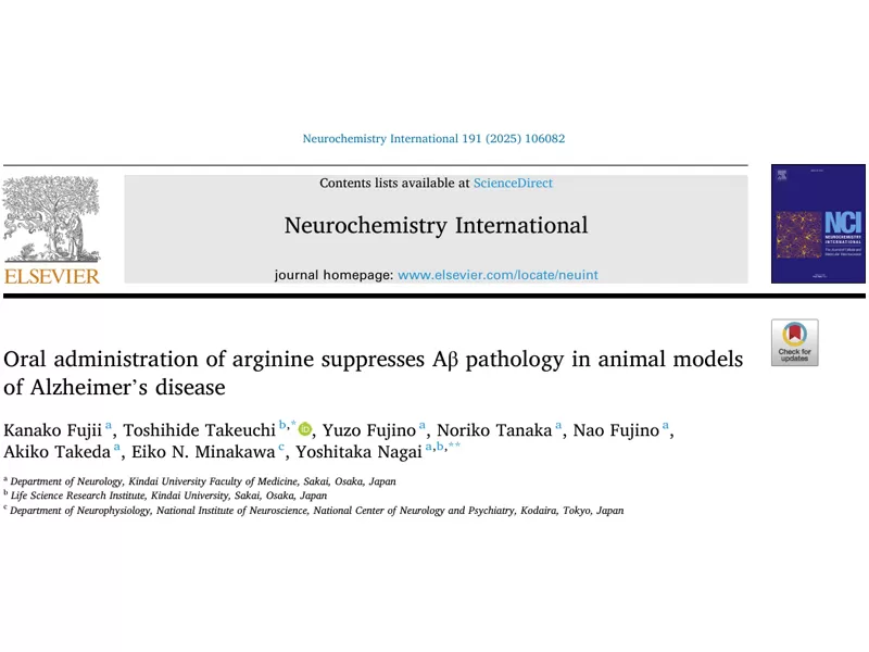 ¿Busca un ingrediente seguro y eficaz para la salud del cerebro? Arginina: ¡Respaldada por la ciencia, rentable, resolviendo los puntos de dolor de su producto principal!