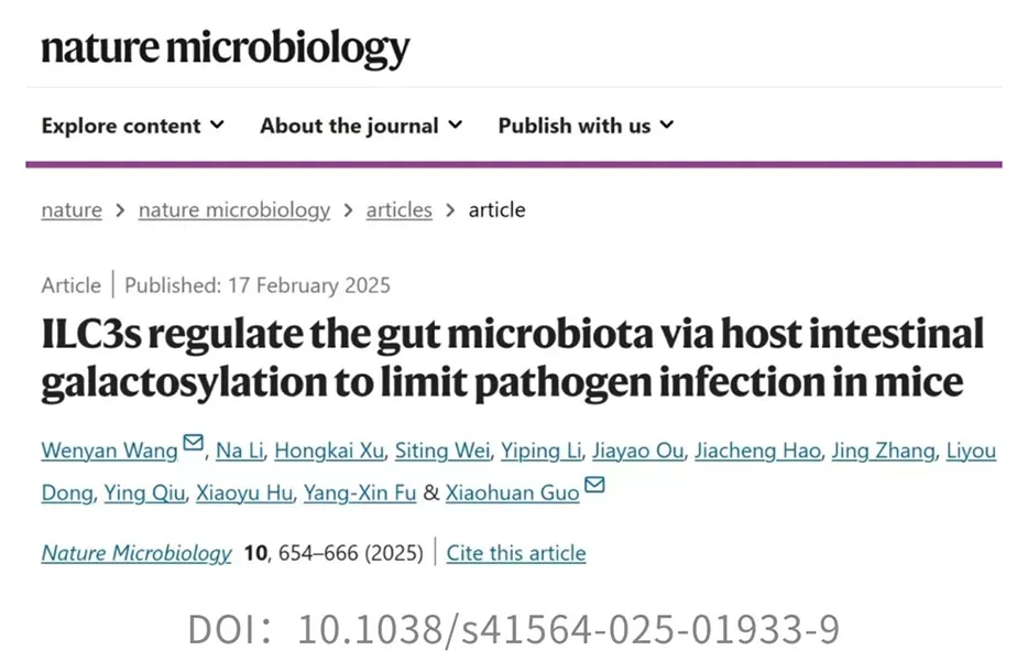 Mind-Blowing: Probiotic Akk Bacteria Aids Pathogens Under Specific Immune Conditions