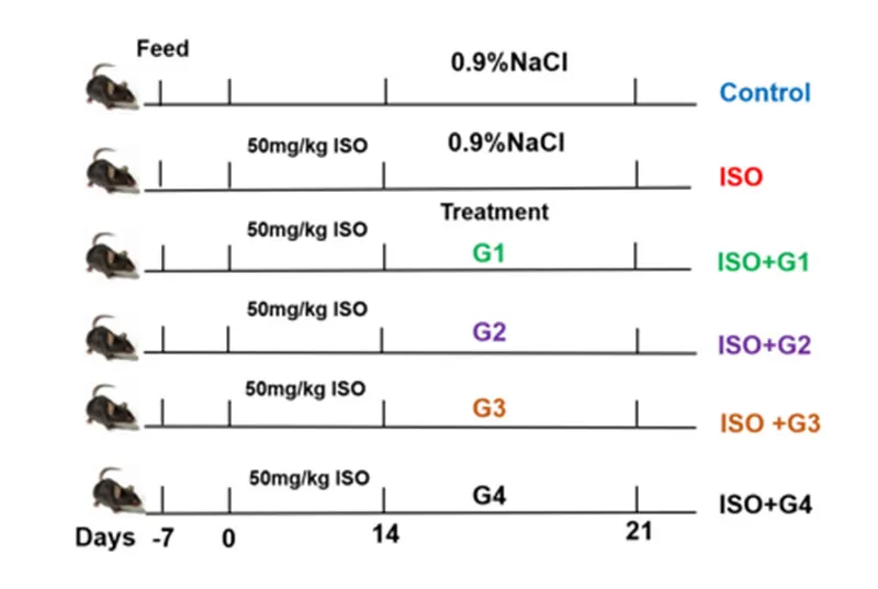 Significant Cardioprotective Efficacy Significant Cardioprotective Efficacy