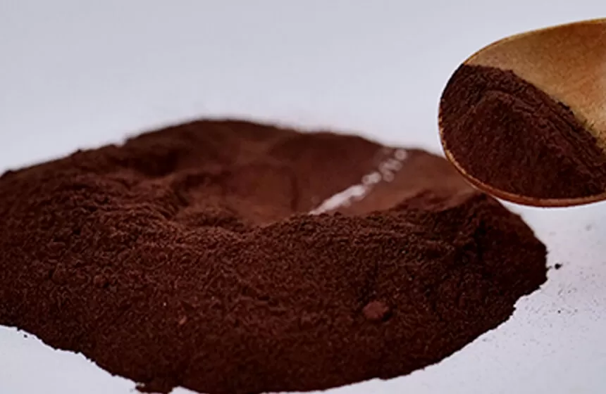 Pygeum Africanum extract manufacturer