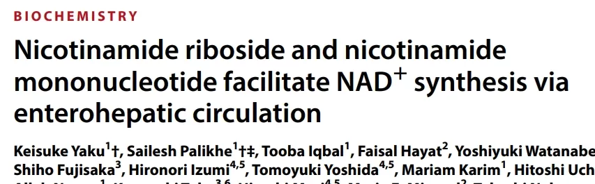 Science Advances Study Overturns Conventional Wisdom: True Metabolic Pathway of Anti-Aging Miracle Molecules NMN/NR Revealed