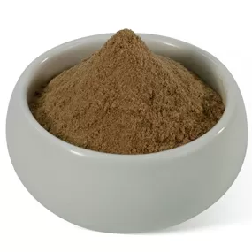 Polvo de extracto de hongo shiitake