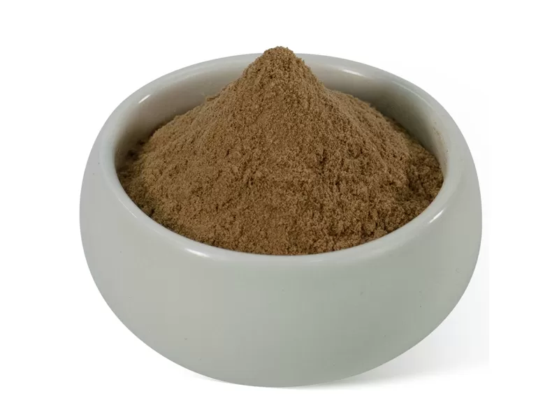 Compre extracto de hongo shiitake